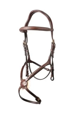 TRUST Bridle Oslo Figure 8 Noseband Gold Buckles Brown