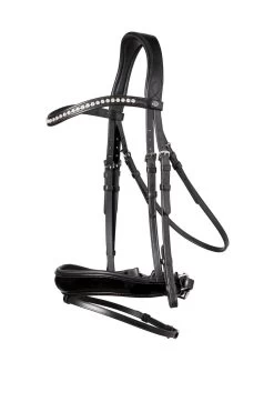 TRUST Bridle Rotterdam Black Padded Black