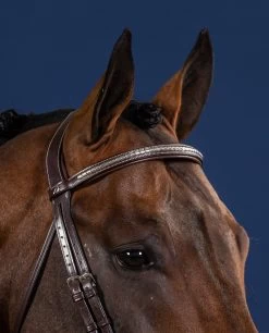 Dyon US Collection Silver Clincher Straight Browband