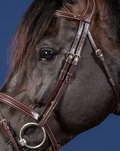 Sports - Equestrian -Sports - Equestrian US03ABR