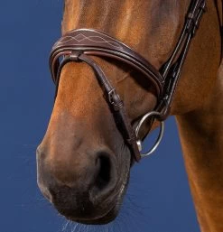 Dyon US Jumping Anatomic Flash Noseband Bridle Brown -Sports - Equestrian US04BBR 1
