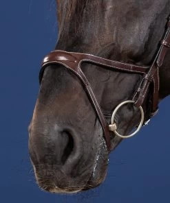 Dyon US Jumping X-Fit Bridle Brown 6 Dyon US Jumping X-Fit Bridle Brown -Sports - Equestrian US04DBR