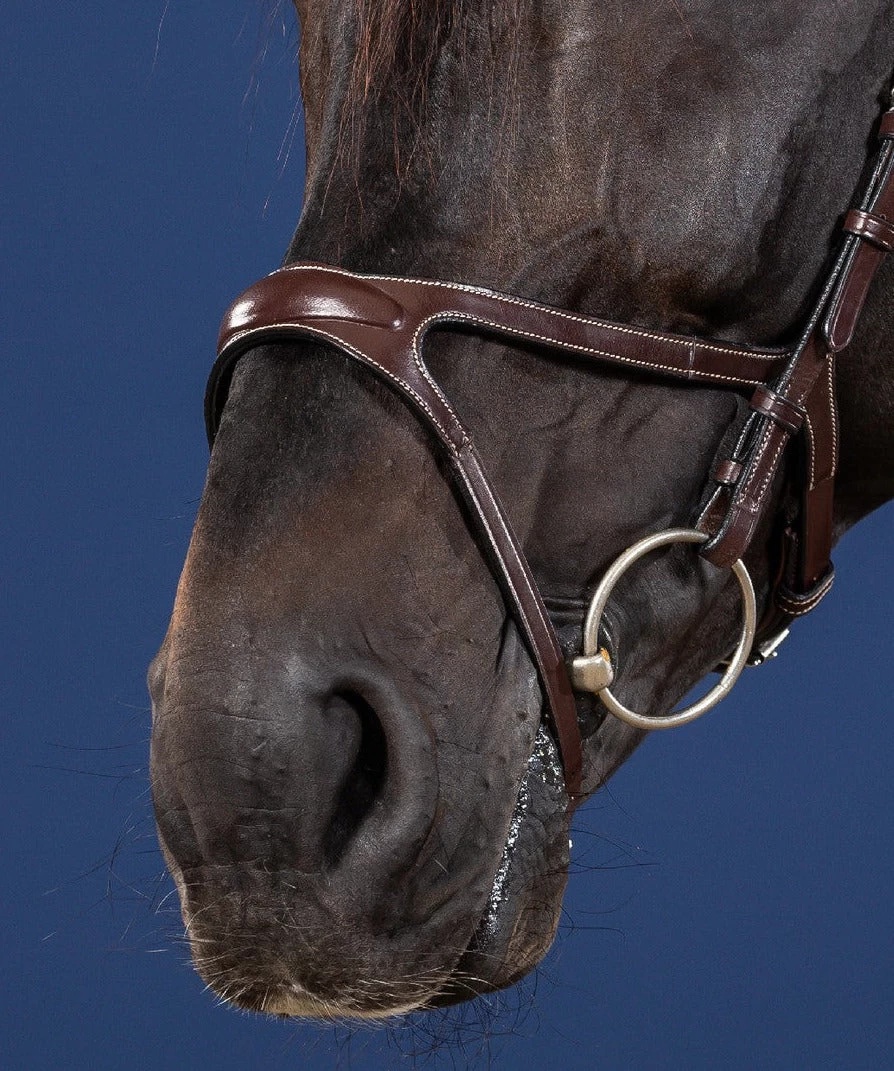 Dyon US Jumping X-Fit Bridle Brown 3 Dyon US Jumping X-Fit Bridle Brown - Image 3