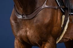 Dyon US Collection Anatomic Breastplate Brown -Sports - Equestrian US06BBR 1