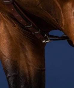 Dyon US Collection Breastplate With Long Bridge Brown -Sports - Equestrian US06CBR3