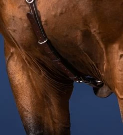 Dyon US Collection Breastplate With Bridge Brown -Sports - Equestrian US06DBR3