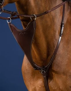 Dyon US Collection Hard BIB Martingale Attachment Brown