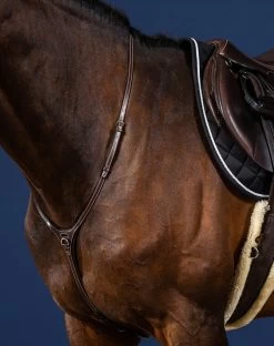 Dyon US Collection Martingale Yoke Brown