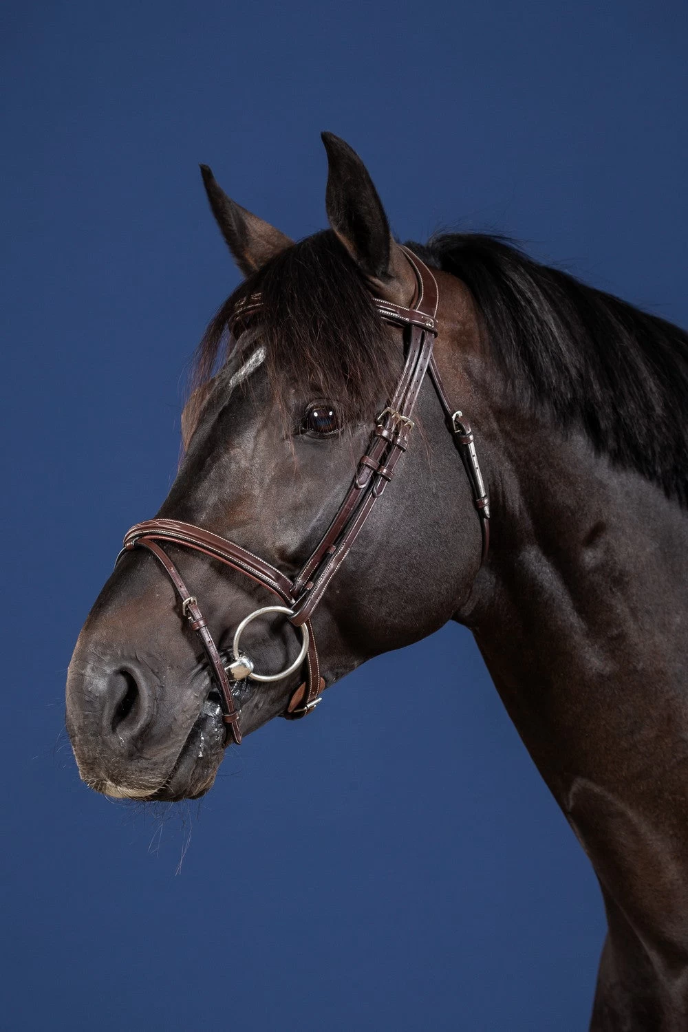 Dyon US Jumping Flash Noseband Bridle Brown