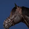 Dyon US Jumping Double Noseband Bridle Brown