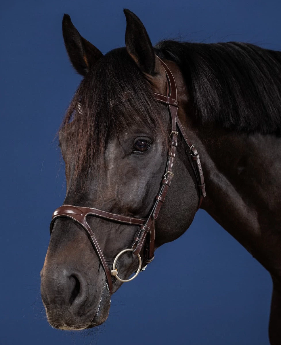 Dyon US Jumping X-Fit Bridle Brown 1 Dyon US Jumping X-Fit Bridle Brown