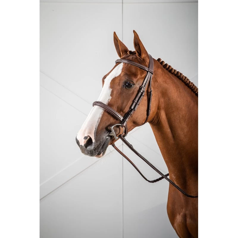 Dyon US Hunter Bridle Cavesson Noseband Brown