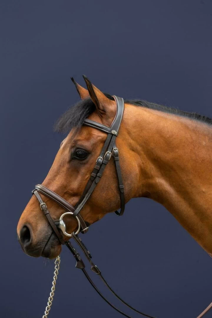 Dyon Working Collection Flash Noseband Bridle Brown 1 Dyon Working Collection Flash Noseband Bridle Brown