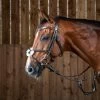 Dyon Working Collection Figure 8 Noseband Bridle Brown