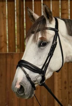Dyon Working Collection Large Crank Noseband Bridle Matt Black