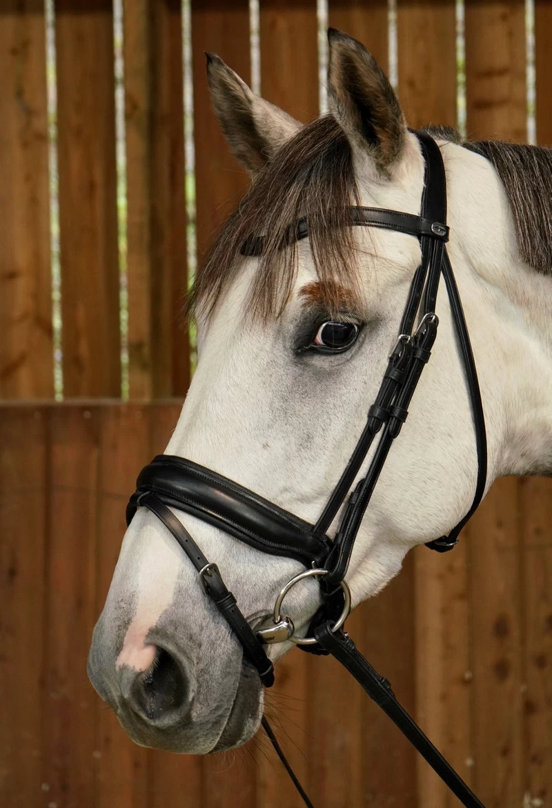 Dyon Working Collection Large Crank Noseband Bridle Matt Black 1 Dyon Working Collection Large Crank Noseband Bridle Matt Black
