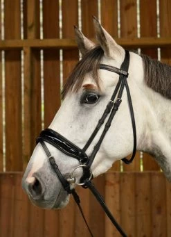 Dyon Working Collection Bridle Large Crank Patent Noseband Black