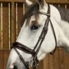 Dyon Working Collection Bridle Large Crank Patent Noseband Brown