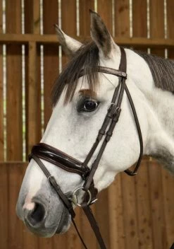 Dyon Working Collection Bridle Large Crank Patent Noseband Brown