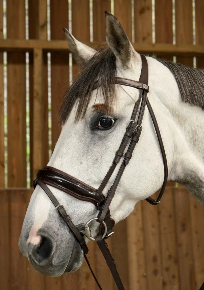 Dyon Working Collection Bridle Large Crank Patent Noseband Brown 1 Dyon Working Collection Bridle Large Crank Patent Noseband Brown