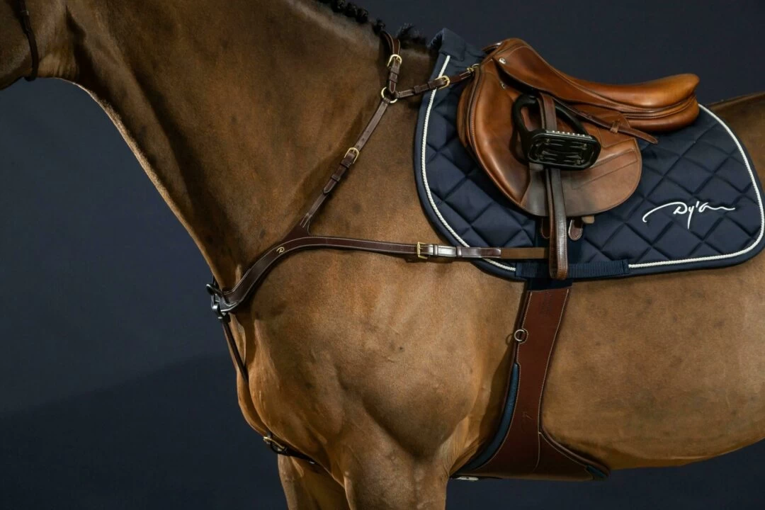 Dyon D Collection Anatomic Breastplate Brown 2 Dyon D Collection Anatomic Breastplate Brown - Image 2