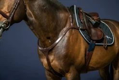 Dyon New English Collection Breastplate Long Bridge Brown