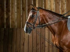 Dyon Working Collection Draw Reins Leather/nylon Black